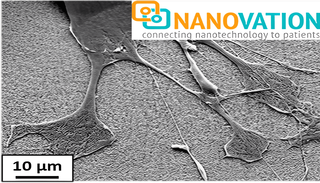Nanotechnology in cell imaging, 10 µm scale